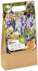 Blumenzwiebel-Kollektion von Grow by OBI für 9,99 € bei OBI im Angebot Blumenzwiebel-Kollektion von Grow by OBI im aktuellen OBI Prospekt