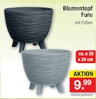 Blumentopf Furu im Angebot bei Zimmermann in Neustadt Blumentopf Furu Angebote bei Zimmermann Neustadt für 9,99 €