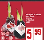 EDEKA Großbeeren Prospekt mit  im Angebot für 5,99 €