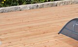 Terrassendiele "Douglasie" bei Hagebaumarkt im Rochlitz Prospekt für 2,99 €