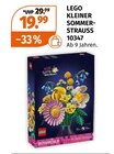Kleiner Sommerstrauss 10347 im Angebot bei Müller in Weiden Kleiner Sommerstrauss 10347 Angebote von LEGO bei Müller Weiden für 19,99 €
