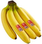 Bananen Angebote von REWE Beste Wahl bei REWE Hameln für 1,79 €