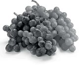 Trauben Mix Angebote bei Netto Marken-Discount Görlitz für 1,95 €