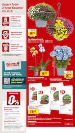 Rindenmulch Angebot & Preis im aktuellen toom Baumarkt Prospekt Rindenmulch Angebot im aktuellen toom Baumarkt Prospekt auf Seite 2