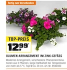 BLUMEN-ARRANGEMENT IM ZINK-GEFÄSS Angebote bei OBI Neubrandenburg für 12,99 €