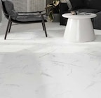 Feinsteinzeug Carrara matt im Angebot bei Globus-Baumarkt in Waiblingen Feinsteinzeug Carrara matt Angebote bei Globus-Baumarkt Waiblingen für 9,49 €