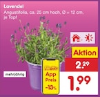 Lavendel im Angebot bei Netto Marken-Discount in Viersen Lavendel Angebote bei Netto Marken-Discount Viersen für 1,99 €