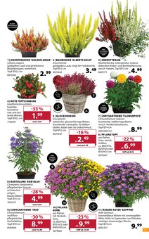 Kissen im aktuellen Dehner Garten-Center Prospekt (Freiburg (Breisgau)) Kissen im Dehner Garten-Center Prospekt "ZAUBERHAFTER HERBST" mit 16 Seiten (Freiburg (Breisgau))