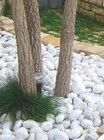 Graviers ou galets roulés blanc Carrare - Super U à Vénissieux Graviers ou galets roulés blanc Carrare en promo chez Super U Vénissieux à 6,99 €