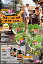 Dünger im Hornbach Prospekt in Gelsenkirchen Aktueller Hornbach Prospekt mit Dünger, "Dir ist vieles Latte. Nur nicht Dein Garten.", Seite 24