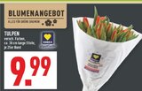 Tulpen Angebote von EDEKA Herzstück bei Marktkauf Paderborn für 9,99 €