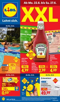 Gartensitzmöbel im Lidl Prospekt "LIDL LOHNT SICH" mit 70 Seiten (Bonn)