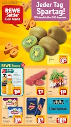 Aktueller REWE Prospekt, "Dein Markt", mit Angeboten der Woche, gültig von 19.01.2026 bis 19.01.2026