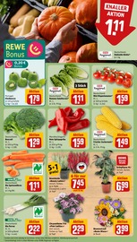 Pflanzen im REWE Prospekt in Rastatt Aktueller REWE Prospekt mit Pflanzen, "Dein Markt", Seite 7