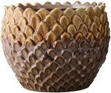 Aktuelle Blumentopf Angebote bei Rusta in Essen Aktuelles Blumentopf Angebot bei Rusta in Essen ab 6,99 €