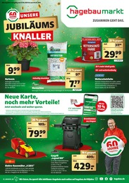 Aktueller Hagebaumarkt Baumärkte Prospekt für Glindenberg: UNSERE JUBILÄUMS KNALLER mit 20} Seiten, 27.04.2024 - 04.05.2024