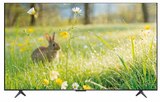 Aktuelles QD-Mini LED TV 55MQLED75K Angebot bei expert in Laatzen ab 499,00 €