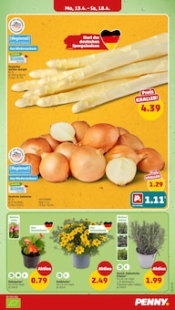 Spargel im Penny Prospekt "Wer günstig will, muss Penny." mit 40 Seiten (Bielefeld)