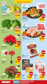 Schweinefleisch im Penny Prospekt "Wer günstig will, muss Penny." mit 44 Seiten (Mainz)
