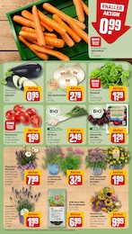 Rote Bete Angebot & Preis im aktuellen REWE Prospekt Rote Bete Angebot im aktuellen REWE Prospekt auf Seite 7