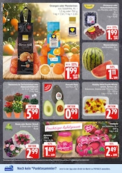 Ähnliche Angebote wie Gartenstühle im Prospekt "Top Angebote" auf Seite 4 von EDEKA in Wismar