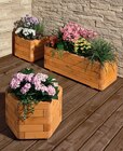 Blumenkasten Toscana Quadratisch im Angebot bei Hagebaumarkt in Bocholt Blumenkasten Toscana Quadratisch Angebote bei Hagebaumarkt Bocholt für 59,99 €