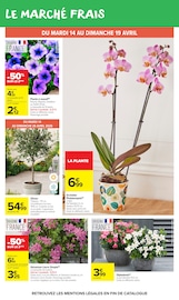 Promos Orchidée dans le catalogue "CARREFOUR MARKET" de Carrefour Market Orchidée en promo dans le catalogue Carrefour Market à la page 24