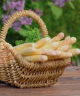Spargel weiß / violett Angebote bei EDEKA Neumünster für 4,99 €