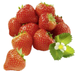 Erdbeeren Angebote von Unsere Heimat bei Marktkauf Ravensburg
