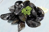 Nordsee-Muscheln im Angebot bei E center in Frankfurt Nordsee-Muscheln Angebote bei E center Frankfurt für 3,33 €