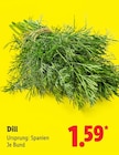 Dill im aktuellen Lidl Prospekt