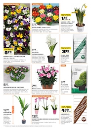 Blumenerde Angebot im aktuellen OBI Prospekt auf Seite 14