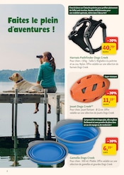 Jouet en promo dans le catalogue Maxi Zoo à la page 2
