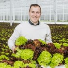 Aktuelles Multicolor-Salat Angebot bei Kaufland in Gießen ab 0,99 €
