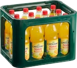 Emsland Sonne im aktuellen famila Nordwest Prospekt