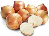 Gelbe Bio Speisezwiebeln im Angebot bei REWE in Hilden Gelbe Bio Speisezwiebeln Angebote von REWE BIO bei REWE Hilden für 1,49 €