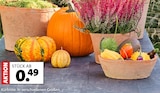 Kürbisse bei Moubis Pflanzenhof im Dülmen Prospekt für 0,49 €