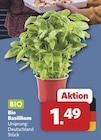 Aktuelles Basilikum Angebot bei combi in Bremen ab 1,49 €