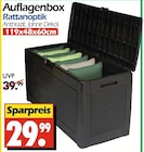 Auflagenbox Rattanoptik im aktuellen Prospekt bei Wreesmann in Hartmannsdorf