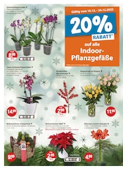 Aktueller V-Markt Prospekt mit Korb, "V-Markt einfach besser einkaufen", Seite 20