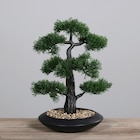 KUNSTPFLANZE 44 cm im XXXLutz MöbelhĂ€user Prospekt KUNSTPFLANZE 44 cm von XXXL im aktuellen XXXLutz MöbelhĂ€user Prospekt fĂŒr 69,99 âŹ