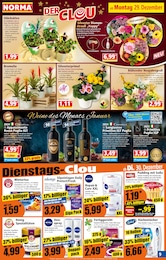 Lametta Angebot im aktuellen Norma Prospekt auf Seite 15