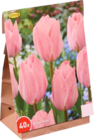Bulbes de Tulipes Jaunes en promo chez Lidl Dunkerque à 7,99 €