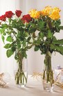 Bouquet 7 roses 50 cm - Intermarché Super à Grenoble Bouquet 7 roses 50 cm en promo chez Intermarché Super Grenoble à 4,79 €