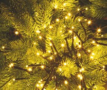 LED-Büschel-Lichterkette bei OBI in Hamburg LED-Büschel-Lichterkette im Angebot bei OBI Hamburg für 19,99 €