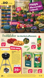 Pflanzerde Angebot & Preis im aktuellen Netto mit dem Scottie Prospekt Pflanzerde Angebot im aktuellen Netto mit dem Scottie Prospekt auf Seite 18