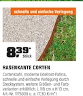 Rasenkante Corten Angebote bei OBI Ludwigshafen für 8,39 €