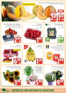 Marktkauf Prospekt der aktuellen Woche, gültig von 22.06.2026 bis 27.06.2026 Aktueller Marktkauf Prospekt "Top Angebote" mit 36 Seiten