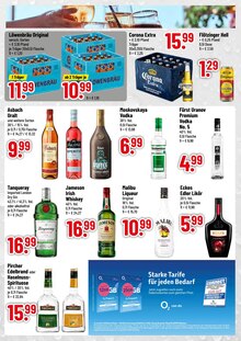 Gin im Trinkgut Prospekt "Größter Getränkehändler in Ingolstadt" mit 4 Seiten (Ingolstadt)