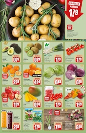 Blumen im REWE Prospekt in Flensburg Aktueller REWE Prospekt mit Blumen, "Dein Markt", Seite 12